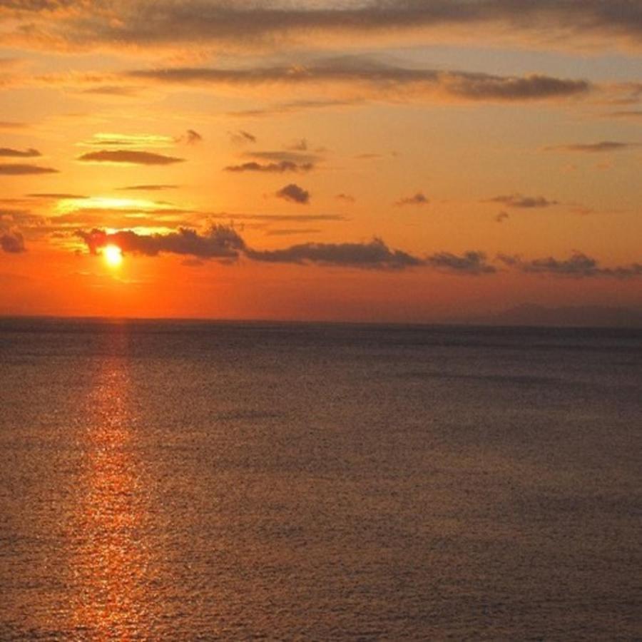 森の入り江の離れ宿 無雙庵枇杷 Izu  Eksteriør bilde